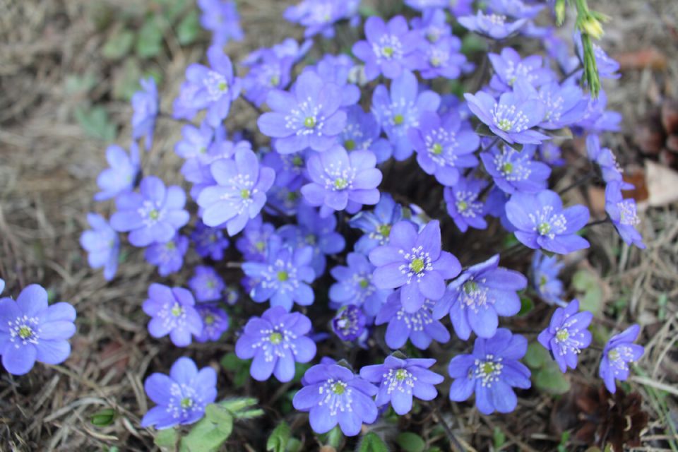 ����� � ����: ����� ������� � ����������� ��������