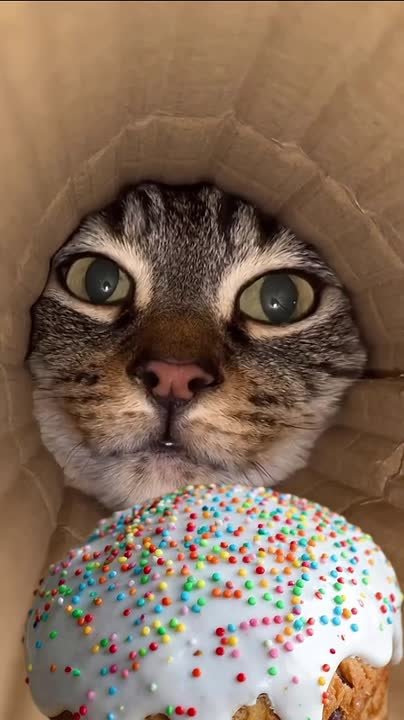 Домашние вкуснее?. До православной Пасхи осталась ровно неделя