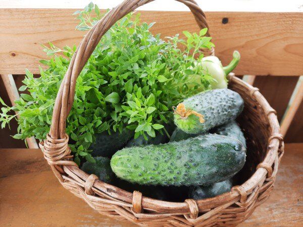 ������� ��������� ����� �� ��������