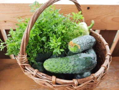 ������� ��������� ����� �� ��������