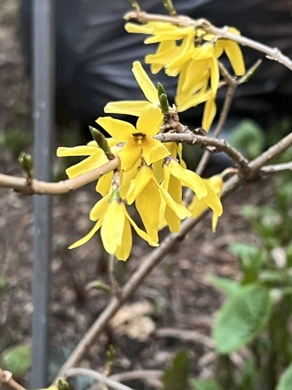 ������ ���� �������� ������? �������, ��� ������� �� ��������