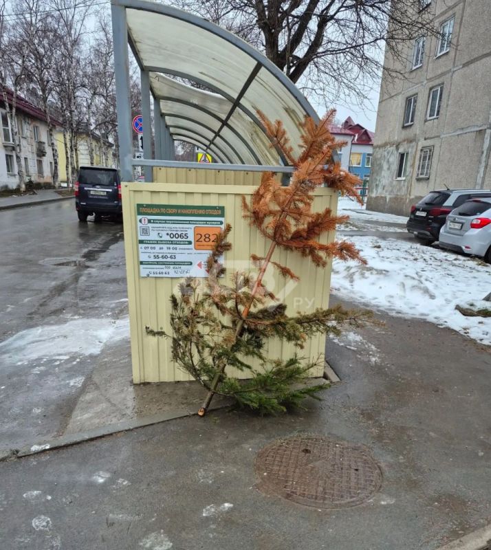 ��� ������ ���� �� ������: ������������� �� ��� ��� �� ��������� ���������� ����