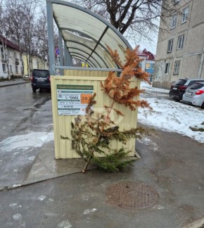 ��� ������ ���� �� ������: ������������� �� ��� ��� �� ��������� ���������� ����