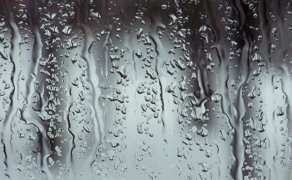 ����� � ������: ���� ����� �� ������ �� ��� �������� 7 ������