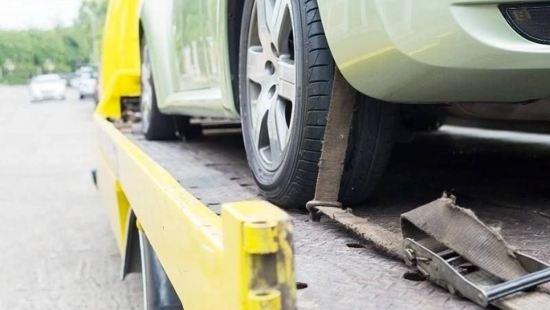 �� 2025 ��� � ���������� � ��������� ������������ 206 �����������