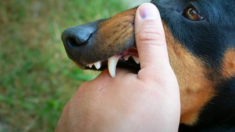 �������� ������ �� ���������� ��������� ���� ��������� ������� �� ��������