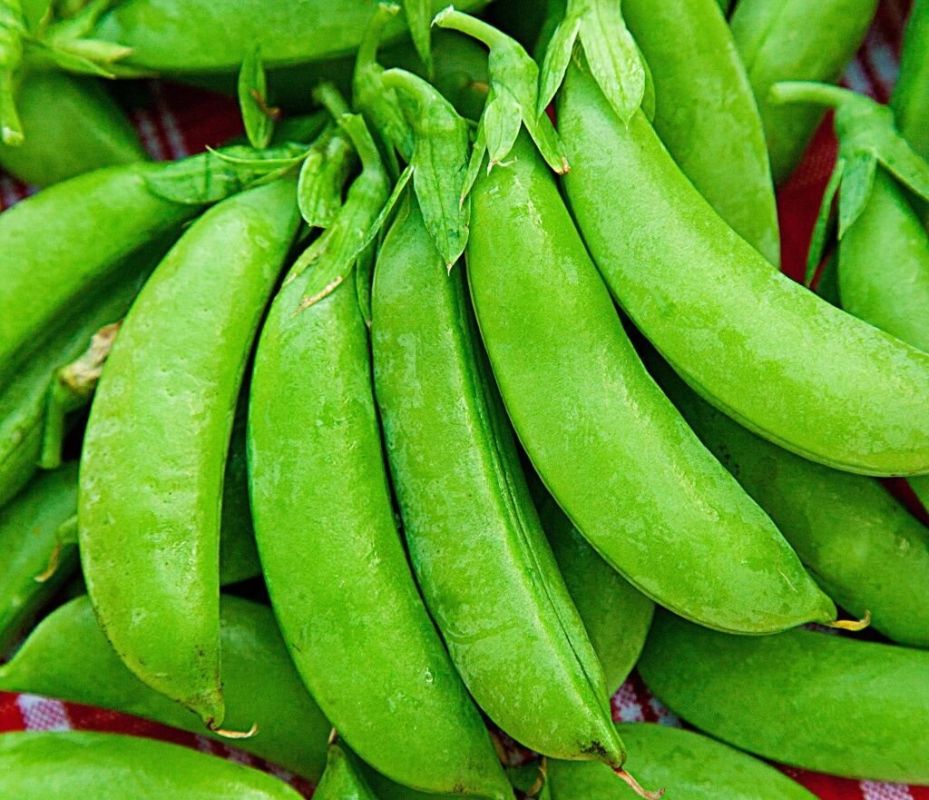 ����� ���������: ��� ��������� ��������� �����