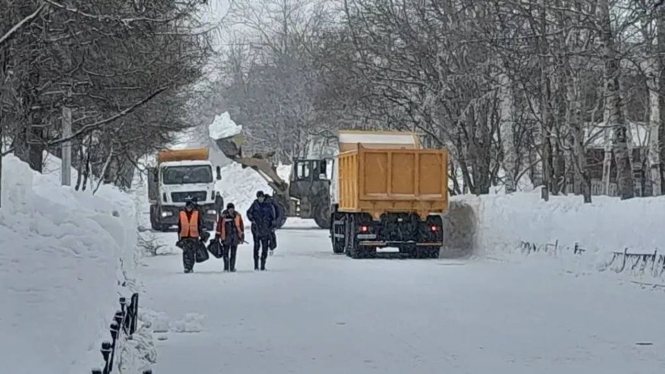 ��������� ����� ������: � �������� ������ ������������ ������ �� ���������� ����������� ��������