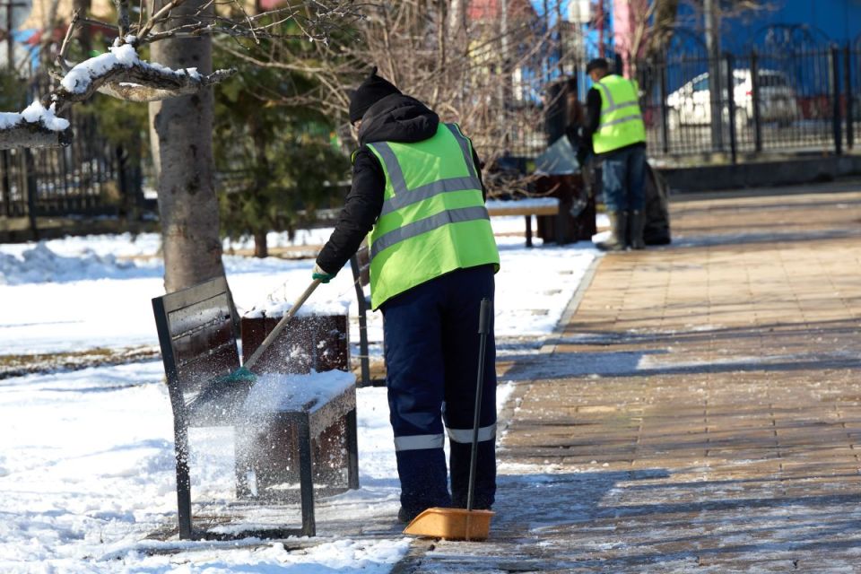 �������� ������ ������������ ����������� � ����