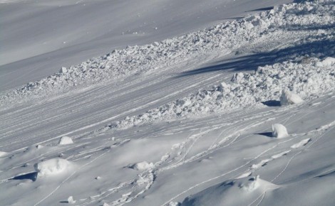 � ���� ������� �������� �������������� �������� ���������