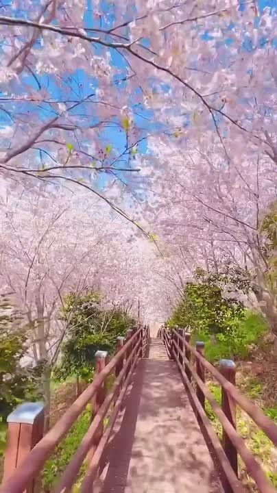 ������ ����!. ������� ���� ���������� �������� � ���� ���� �������� ������� ������� �������� (1948 � 2013), �������� ������ ������ (1958), ����������, ����������� ��������� ������ �������� (1975), ������, ���������� �������...