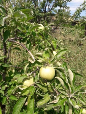 ����� �� ������ ������� ������ �� ����� ��������?