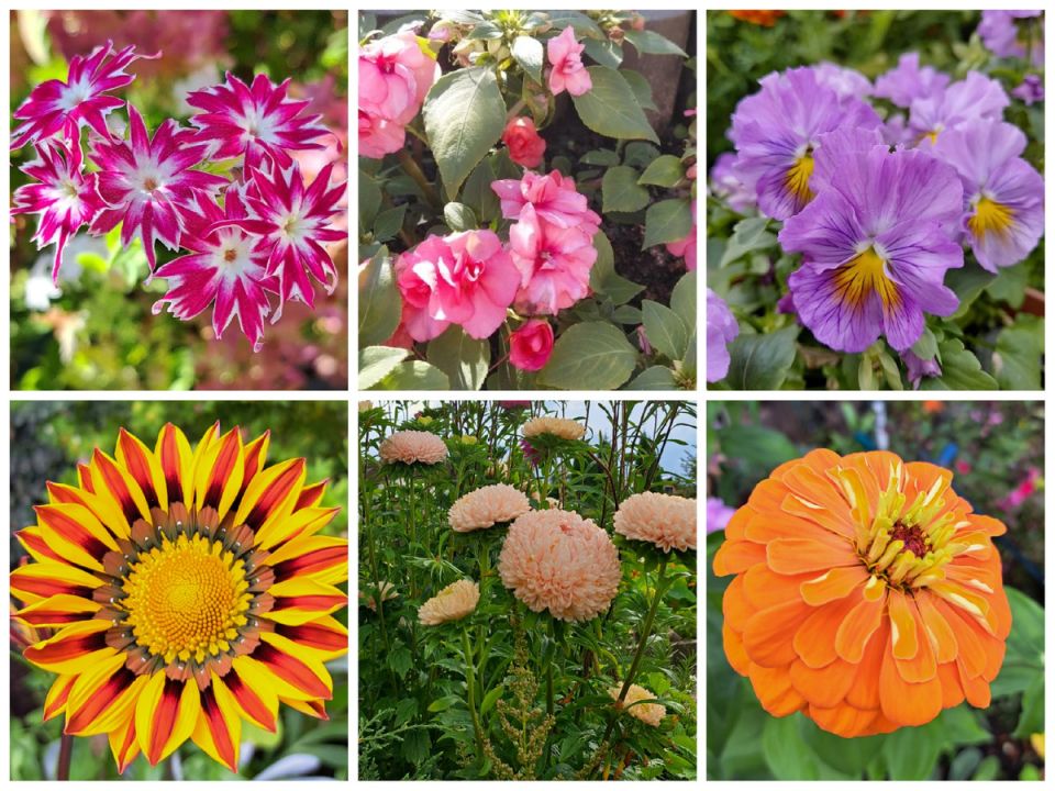 ����� ��� ����: ����� ������ ������� � 2026 ����