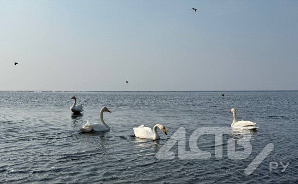 ����� ������������: ������ � ����-���������� ���������� �� +8 ��������