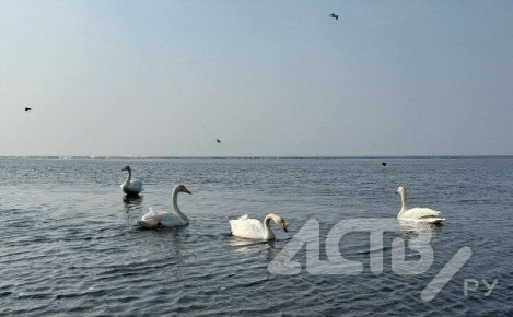 ����� ������������: ������ � ����-���������� ���������� �� +8 ��������