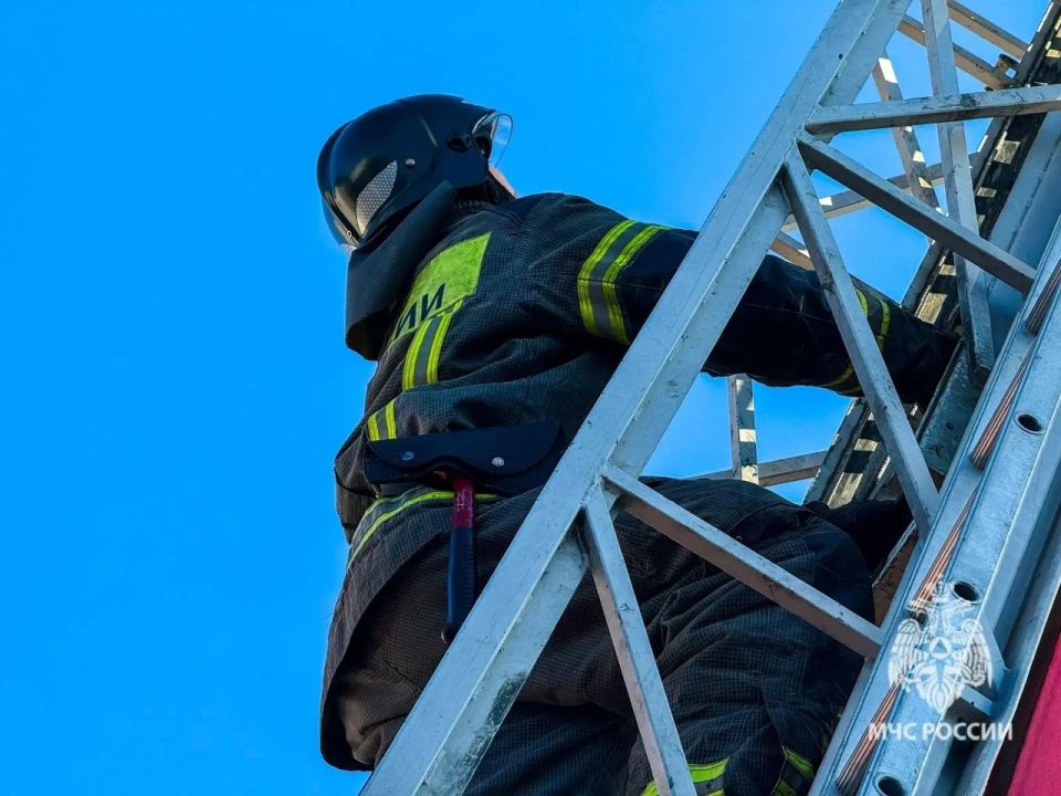 ����������� ��������� ���������� ��� ���� �������� �������� ��������