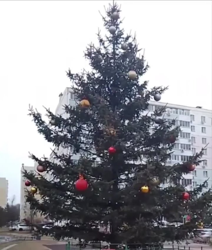 Жители Хабаровска ещё не сдались а вы? — в одном из дворов Рабочего городка новогоднюю ёлку ещё не убрали