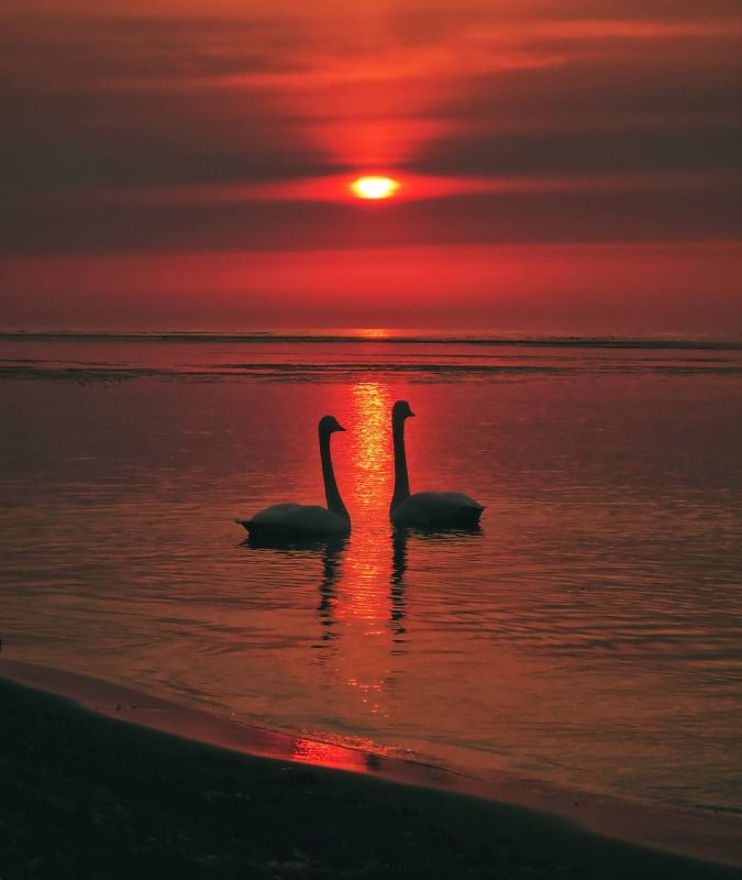 @smotri_65. �������� ������� �� � RU | VK | OK | Inst | MAX