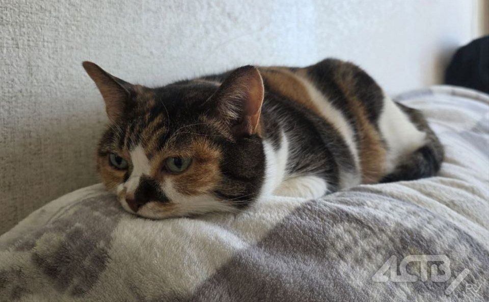 ��� ��������� �������� ����� �������� ��������� ������ ����-���������� � ��������