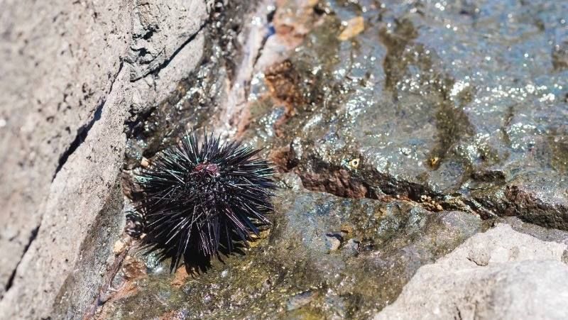 ������������ ���������� ��������� �� 36 ��� ������ �� ����������� �������� ���