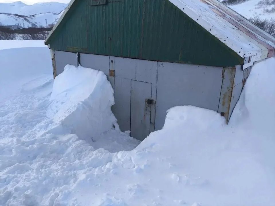 ������ ������-��������� ������� � ���� �� �������� � ���� ������ �������� ����� ������ ������� �����