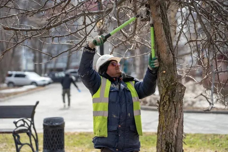 ������ ��������: ���������� ��������� ����� � ������� ����� ����