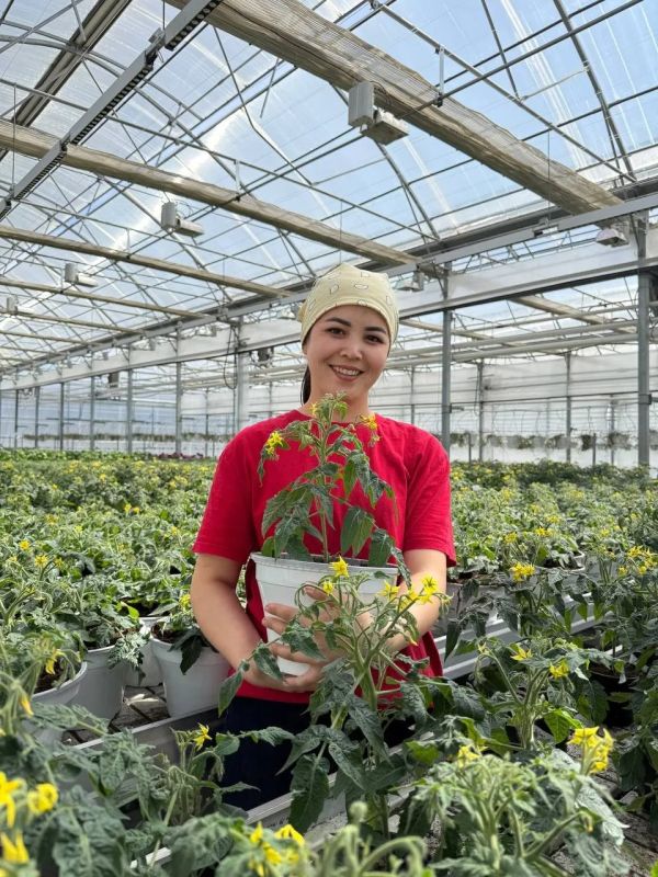 �������� ������� ������ � �������� �� ������� ����������