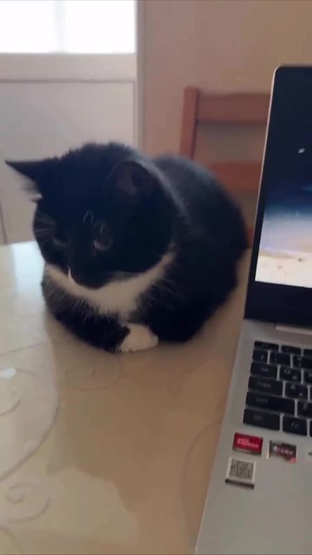 ������ ����, ������� � ������