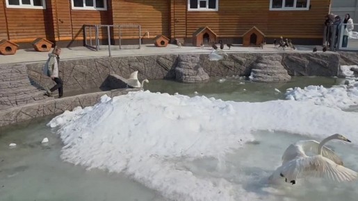 ���������� �� ���������� �������� ����� � ����������� �����������