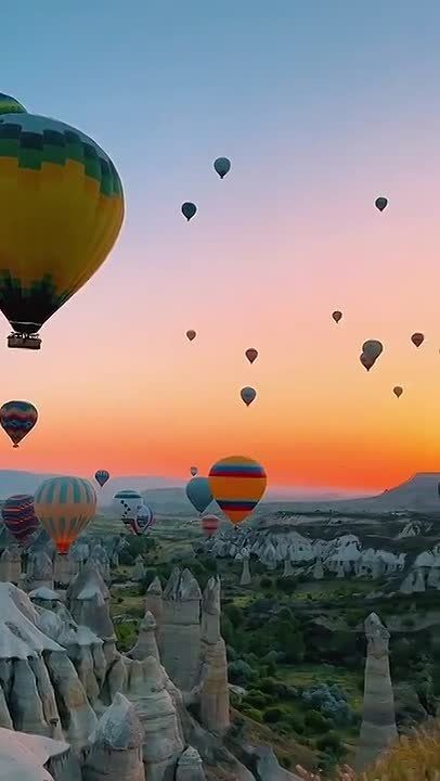 ������ ����!. ������� ���� ���������� ����������� ����� � ���� ���� �������� ��������� ����� ����������� (1925 � 2016) � ���� ���-���� ��������� (1933 � 2021)