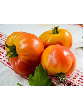 Томат Чупа-Чупс оранжевый: удивительные плоды с насыщенным вкусом