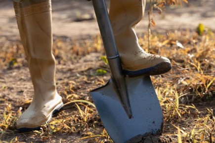 ������� ��������� �������: ������������� ��� ���������� ��������?