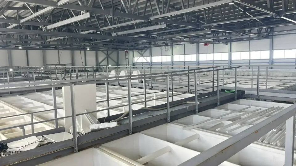 �� �������� ����������� � ����� ���������� � ������������ ����������� ������������