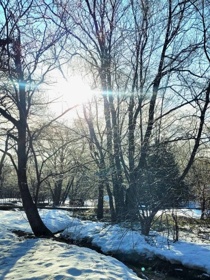 Ура! Ботанический сад снова открыт для посещения Ура! Ботанический сад снова открыт для посещения