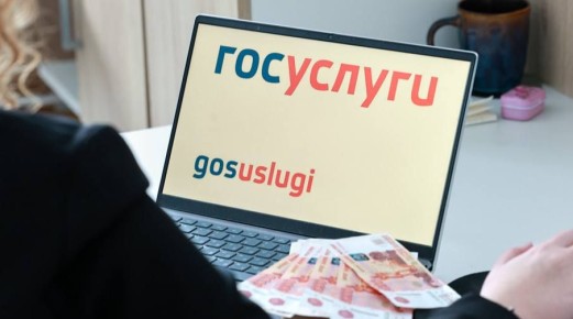 В России предложили предупреждать о проверке счетчиков через «Госуслуги»