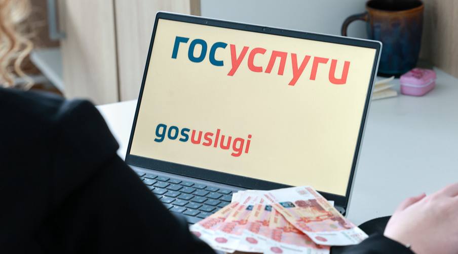 В России предложили предупреждать о проверке счетчиков через «Госуслуги»