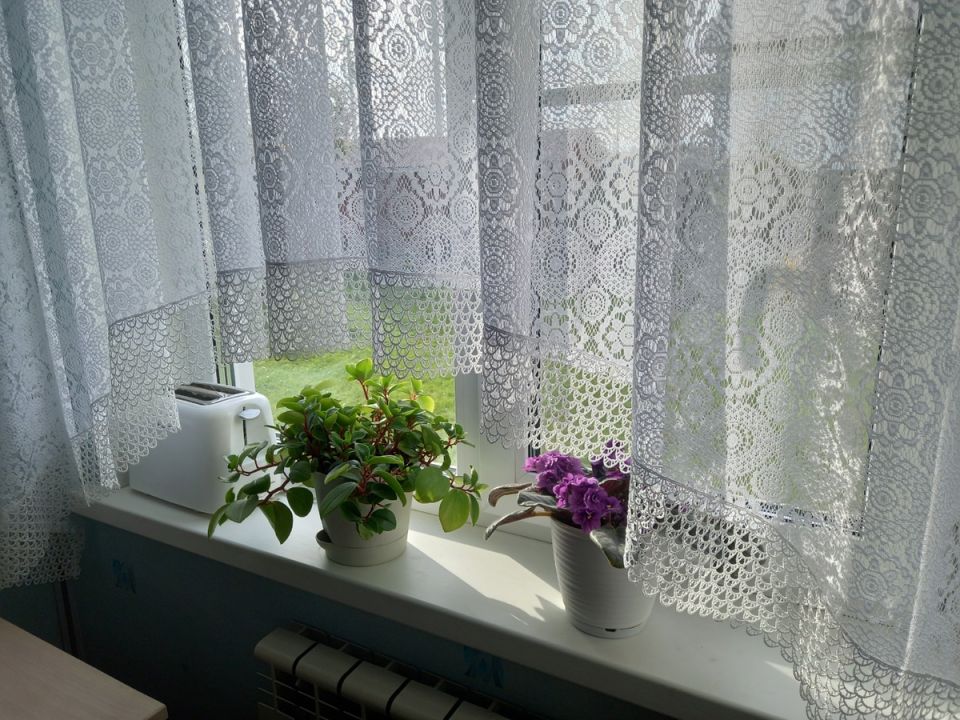 ��� ����������� �� ������������ ����������� � ����������� ����