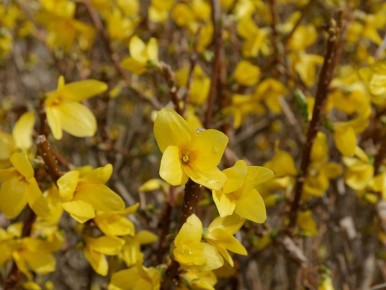 ��������: �������� �������, ������� ���������� ��� ���