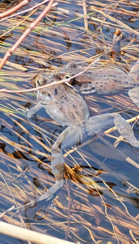 ����� ���������� ������ � ������� �� ��������