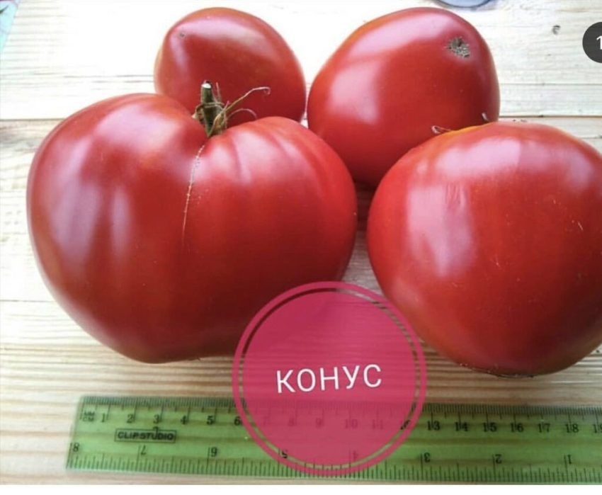 ����� �����: ���������� ���� � ���������� ������������