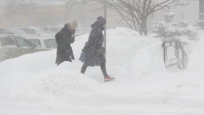 ������� ���� ������� �������� ������������ � ������� ������� 12 ������