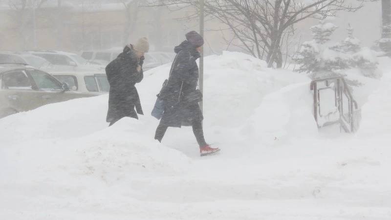 Жителей пяти районов Сахалина предупредили о сильном урагане 12 апреля