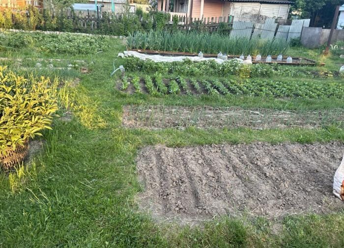 ������, ������� ����� �������� ��� ������������� ��������� ���� � ����