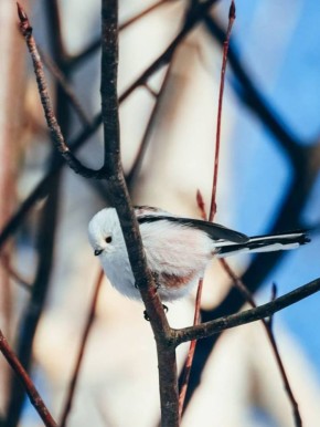 ���! ������������ ��� ����� ������ ��� ���������