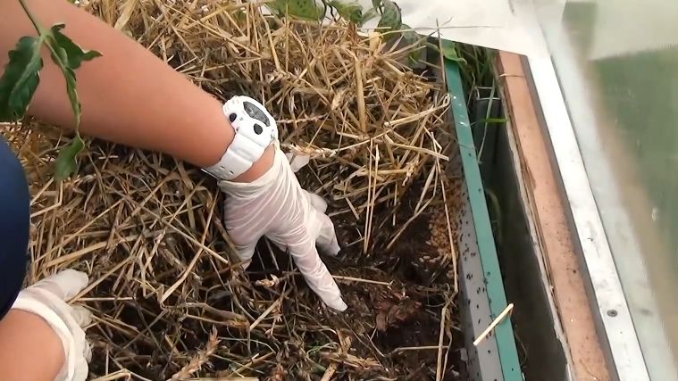 ����������� ����� ������ � �������� ���������: ��� ����� �� 27 ������ ����� ������� ������