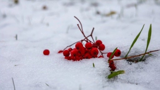 Сильный ветер и осадки будут в Сахалинской области 12 апреля