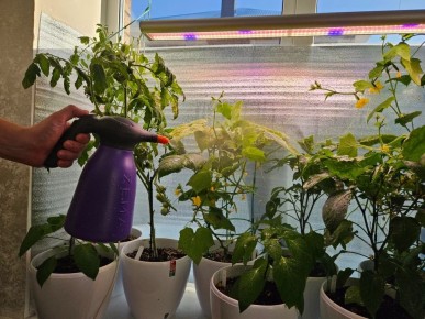 ��� �� ��������� �������: 8 ���������������� �������� ��������, ��� �� ����� ������������