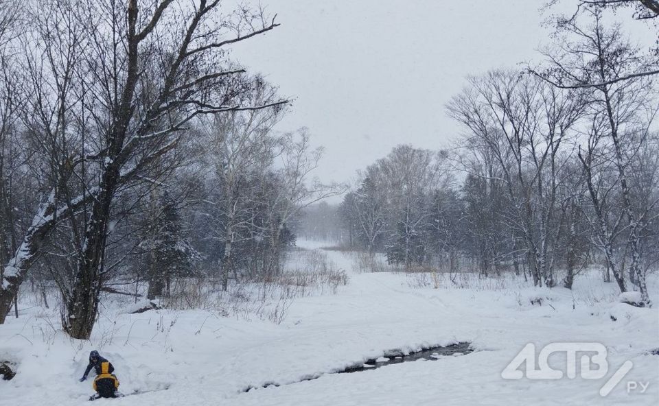 ���������� ����� �� ���������� ���������� - ��������� � ������ �� ��� �������� 12 ������