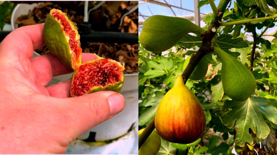 ��� ���������� �� ������: ������� ��������� ����� �� 100 ������� �� ����� �����