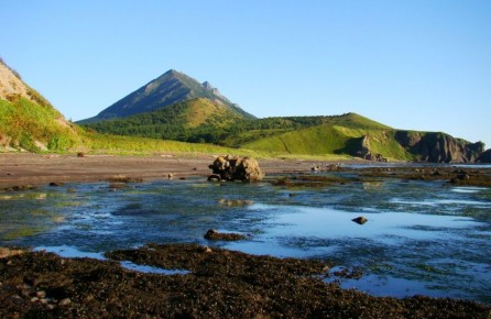 �� ������� ������! ������� ��������!